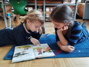 K800_IMG_20240321_093406